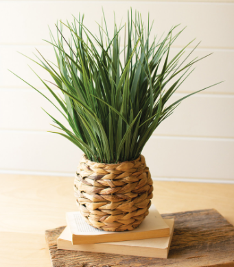 Savannah Grass Planter